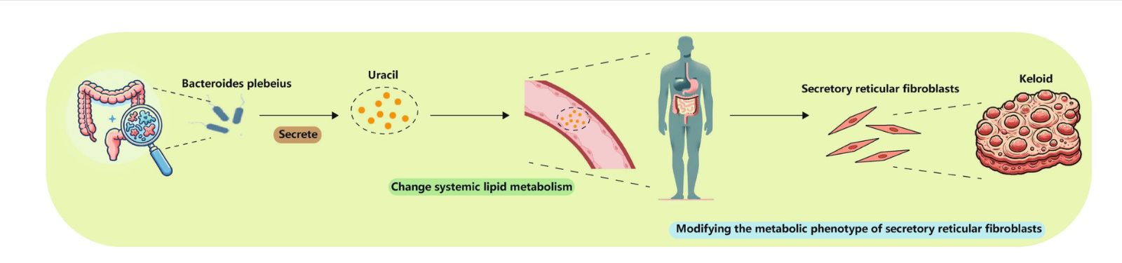 Surgical recovery and internal balance