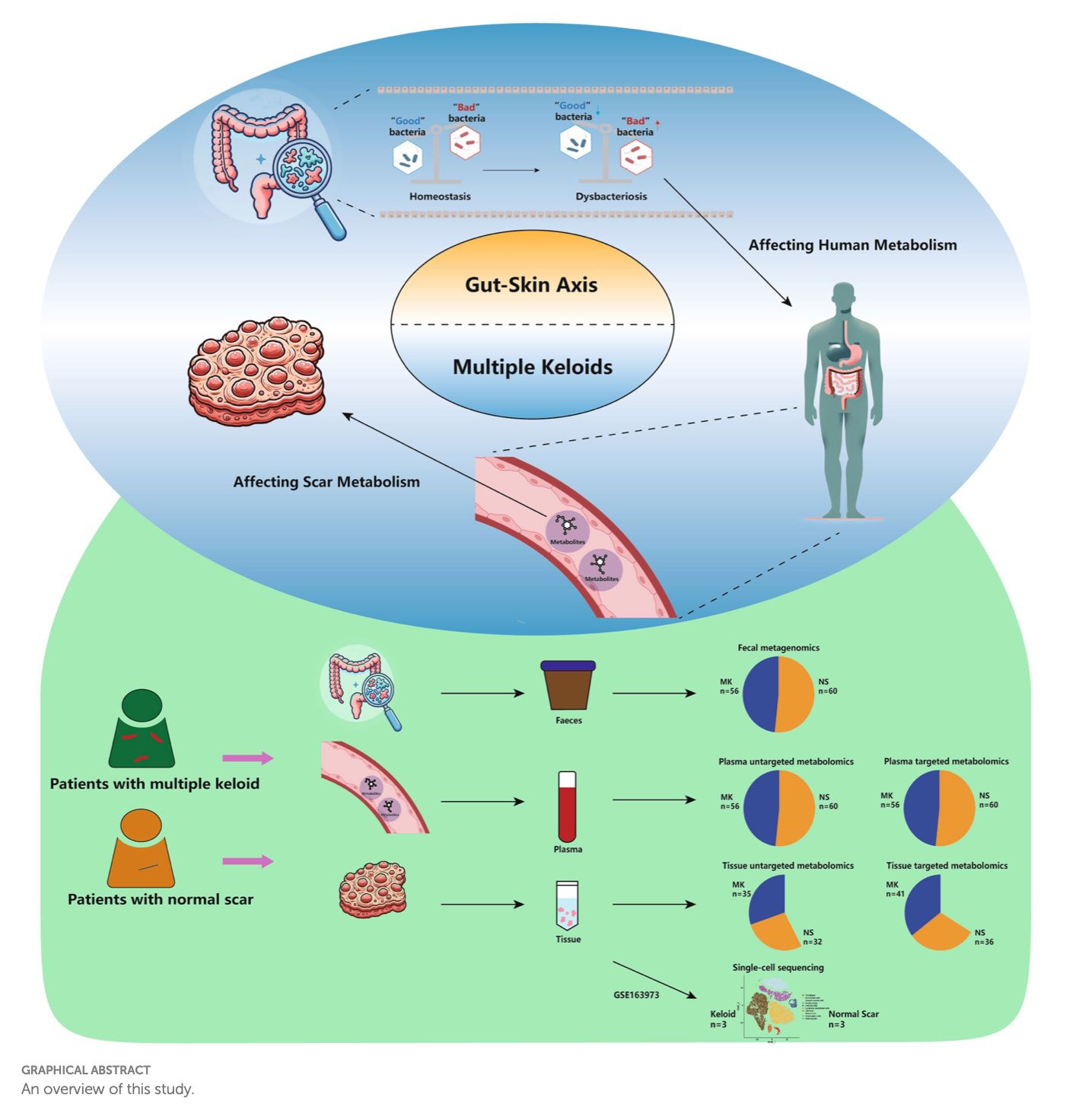 First 14 days after surgery